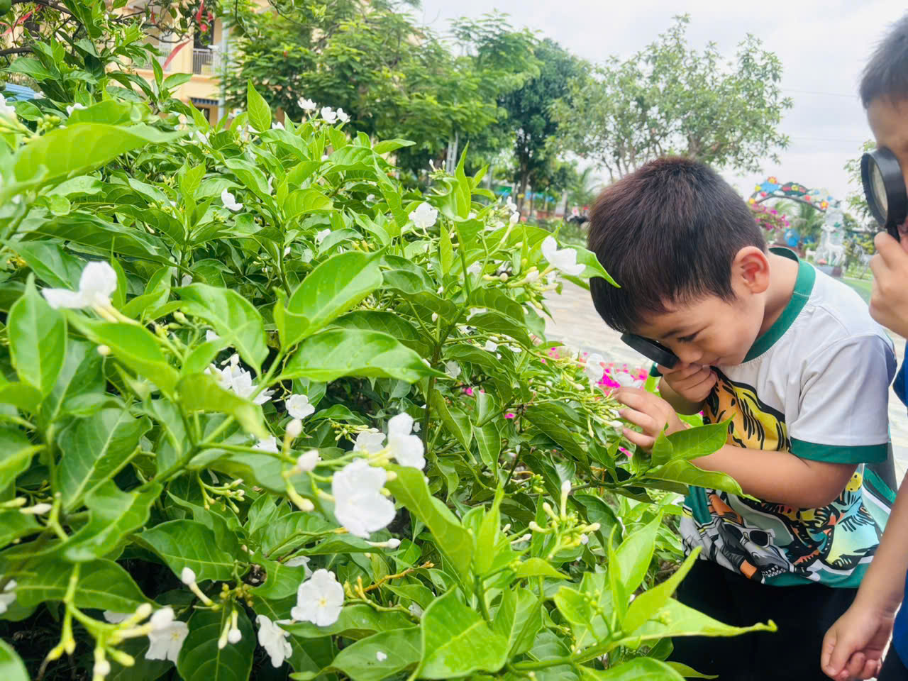 Khám phá thiên nhiên – Khơi nguồn đam mê học hỏi của các bé lớp mẫu giáo 4–5 tuổi trong mùa hè