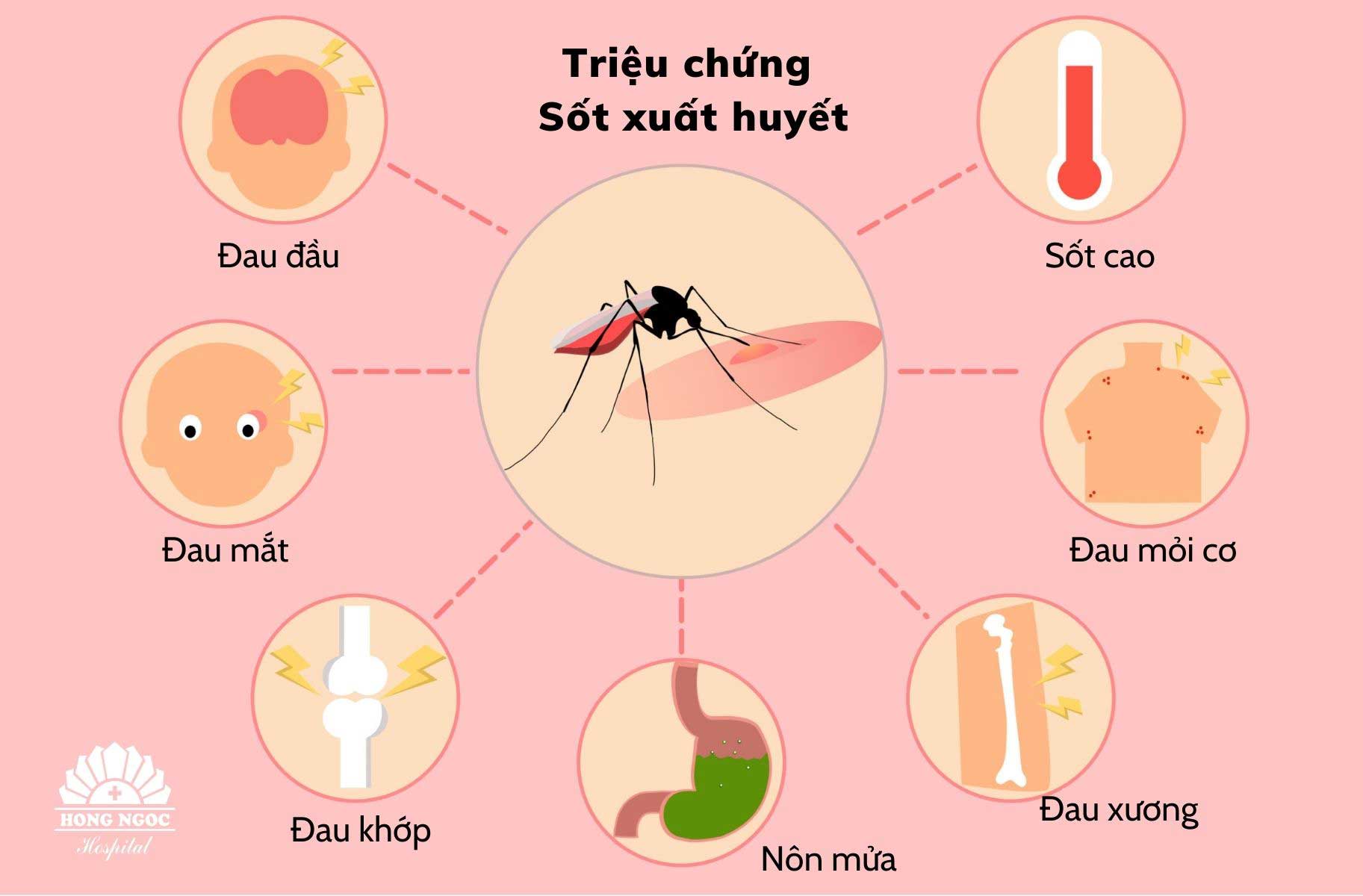 7 quan niệm sai lầm về sốt xuất huyết khiến bệnh dễ trở nặng - Viện Huyết học - Truyền máu Trung ươngViện Huyết học – Truyền máu Trung ương