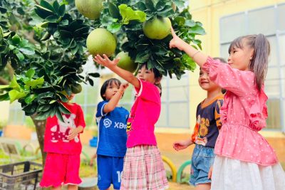 Lớp 5 tuổi A2 – Từ những việc làm nhỏ, bé yêu thiên nhiên và trân trọng lao động
