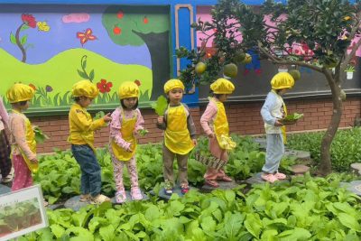 Thư viện ảnh 4 tuổi C