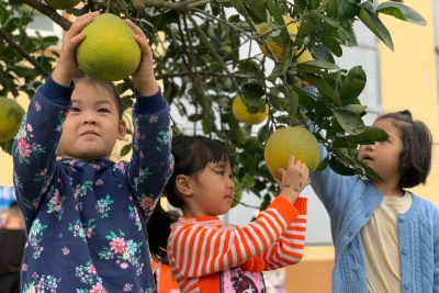 Lớp 5 tuổi B – Góc thiên nhiên, Không gian giáo dục gần gũi, giàu ý nghĩa đối với trẻ mầm non