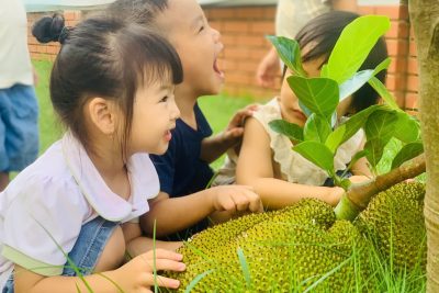 Trường Mầm non Nghĩa Minh tổ chức các hoạt động hè bổ ích, an toàn cho trẻ