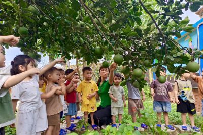 Một ngày hè của cô giáo mầm non