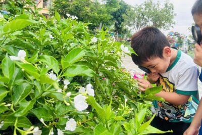 Khám phá thiên nhiên – Khơi nguồn đam mê học hỏi của các bé lớp mẫu giáo 4–5 tuổi trong mùa hè